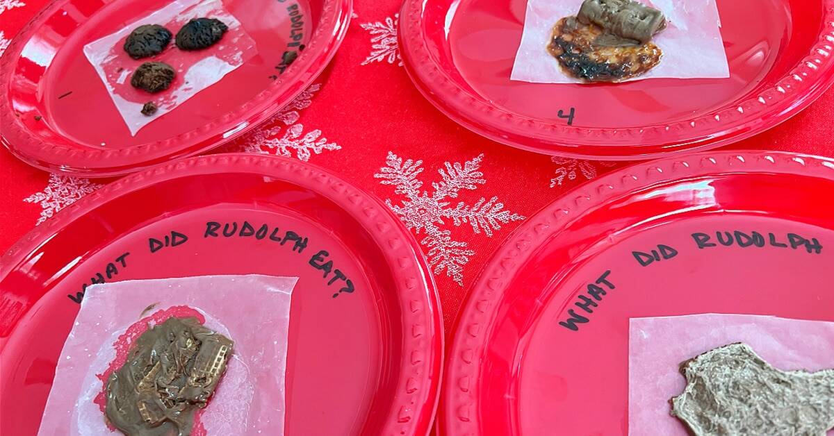 Reindeer Poop Christmas Game on a red holiday party table cloth