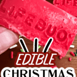 Christmas Story Food Ideas LifeBuoy Soap Candy