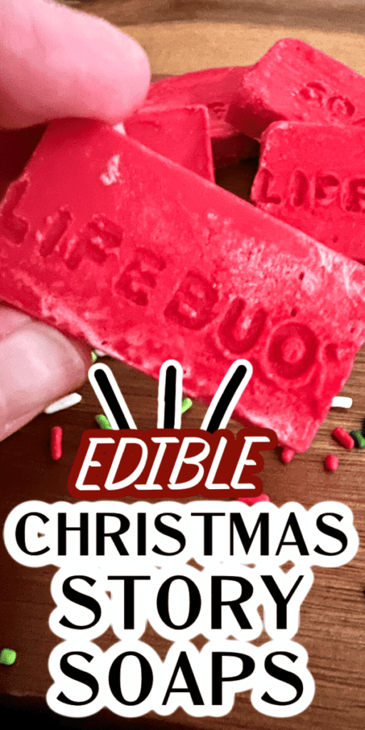 Edible Christmas Story Soap Candy (Christmas Movies Party Theme Food)