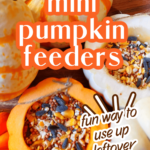 Ideas for what to do with your leftover Halloween pumpkins - how to make homemade bird feeders out of pumpkin text over images of mini DIY pumpkin bird feeder crafts