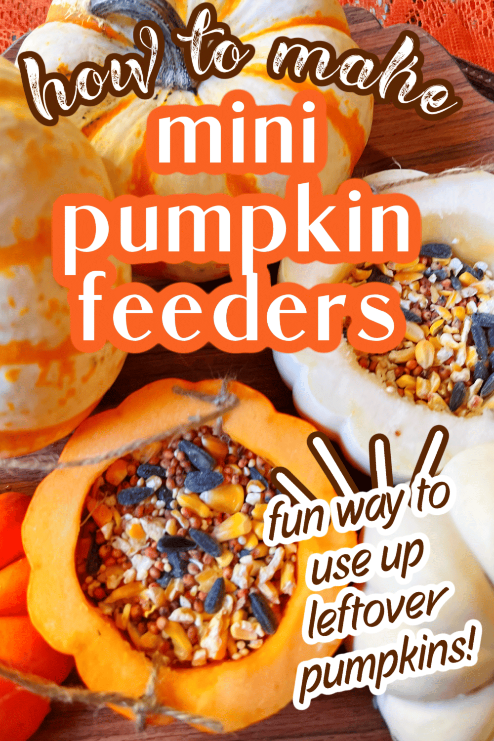 Ideas for what to do with your leftover Halloween pumpkins - how to make homemade bird feeders out of pumpkin text over images of mini DIY pumpkin bird feeder crafts