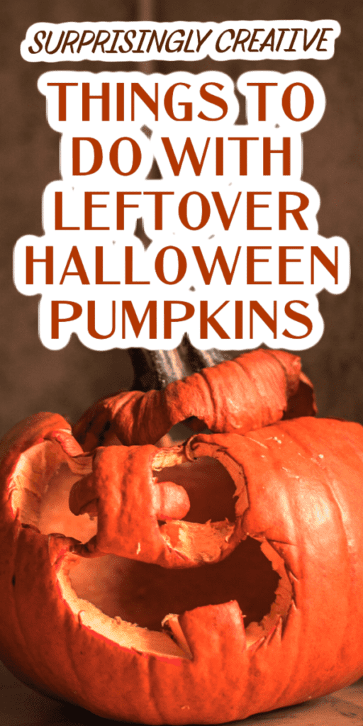What To Do With Your Leftover Halloween Pumpkins (16 Creative Ways To Reuse Pumpkin)