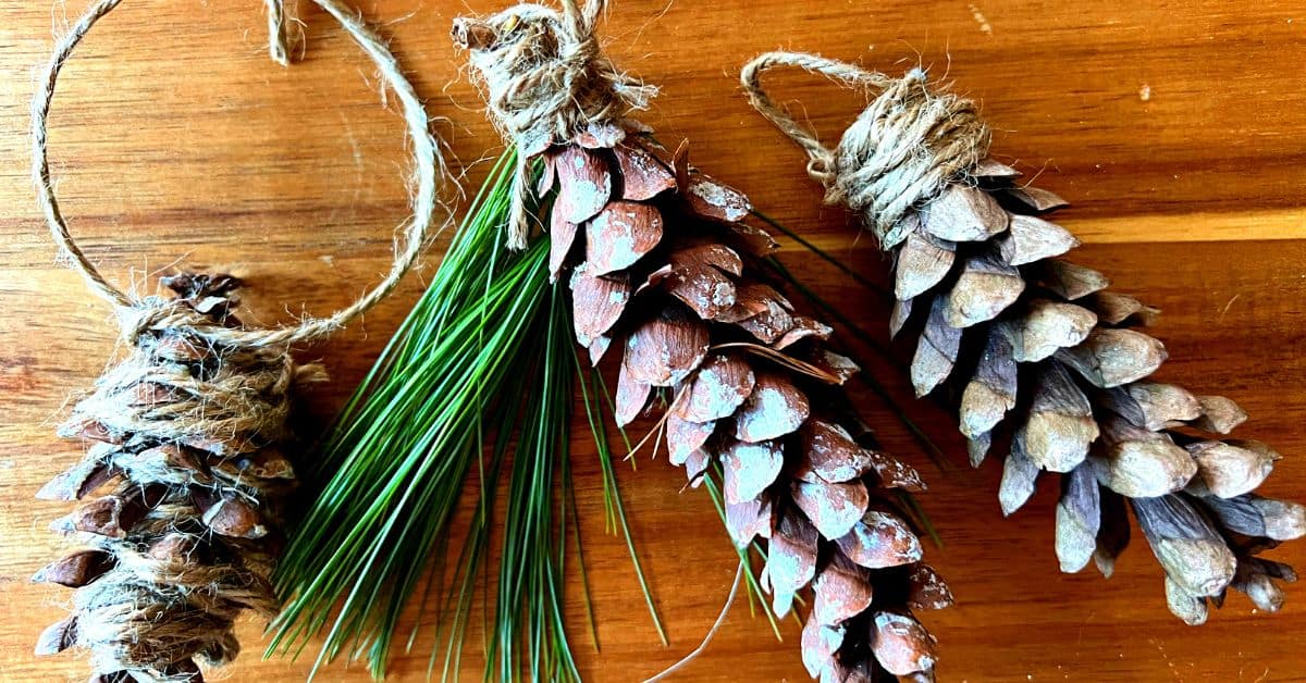 Christmas DIY pine cones ornament on a table