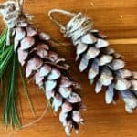 Homemade Christmas DIY pine cones ornament crafts