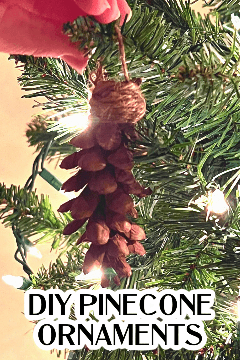 Pine cone craft for Christmas hanging on a Christmas tree