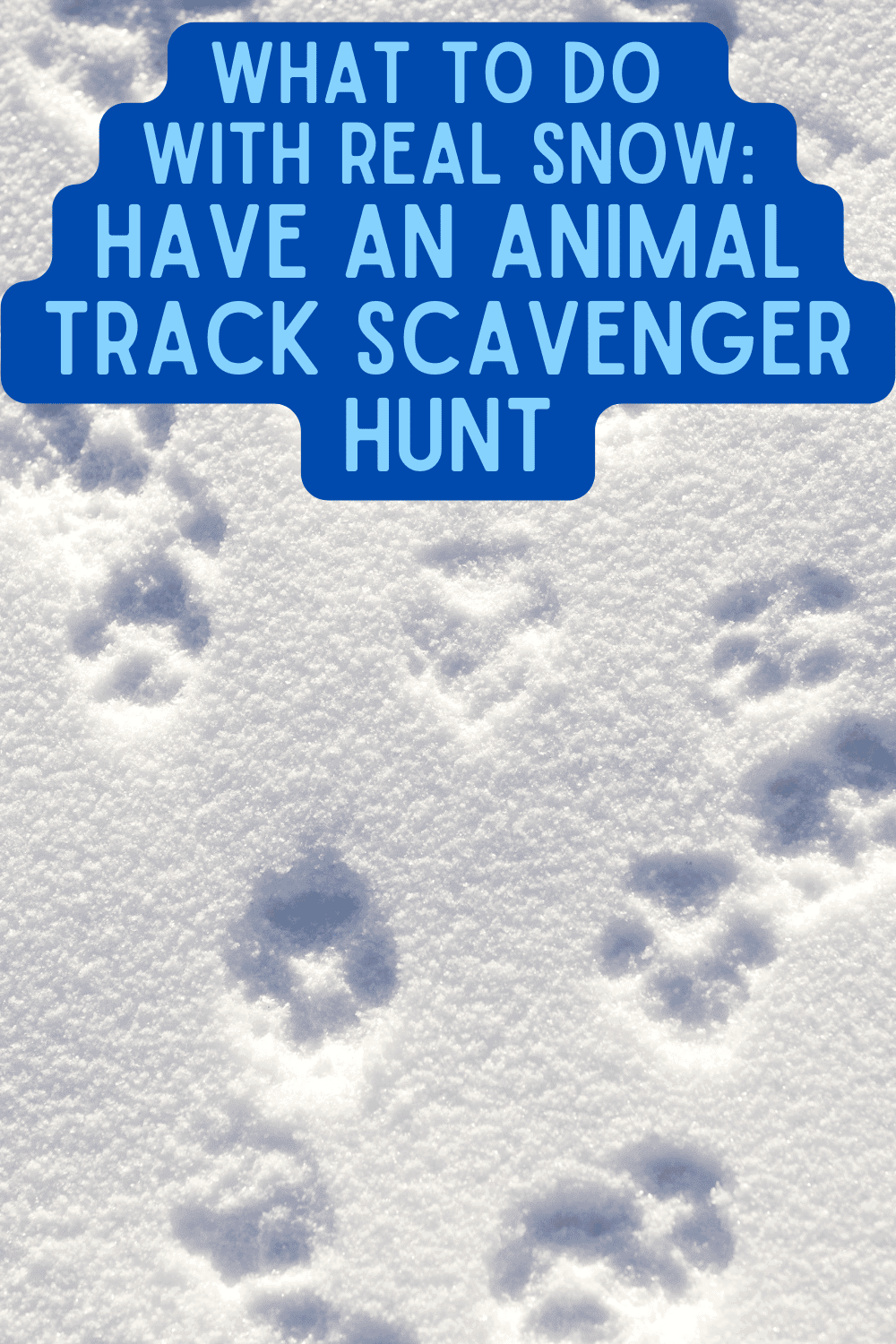 what to make with real snow - animal track scavenger hunt text over image of animal tracks in snow