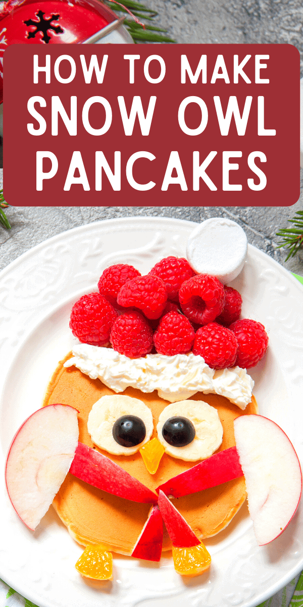 Christmas Morning Breakfast Pancakes Snow Owl Pancake (fun breakfast ideas Christmas even or Christmas morning food)