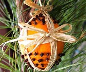 How to make an orange clove pomander craft with kids (DIY orange pomander ornaments)