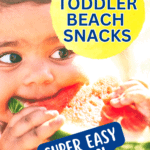 Best Beach Food Ideas For Toddlers