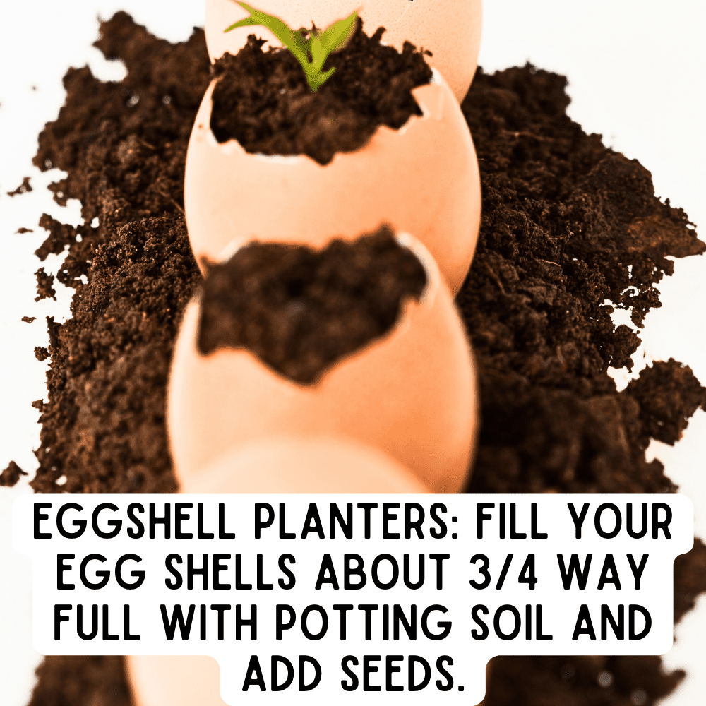 Egg Shell Planter Craft Step By Step 3 Earth Day Children's Crafts (egg shell garden activity) text over brown eggs in a row with soil in them