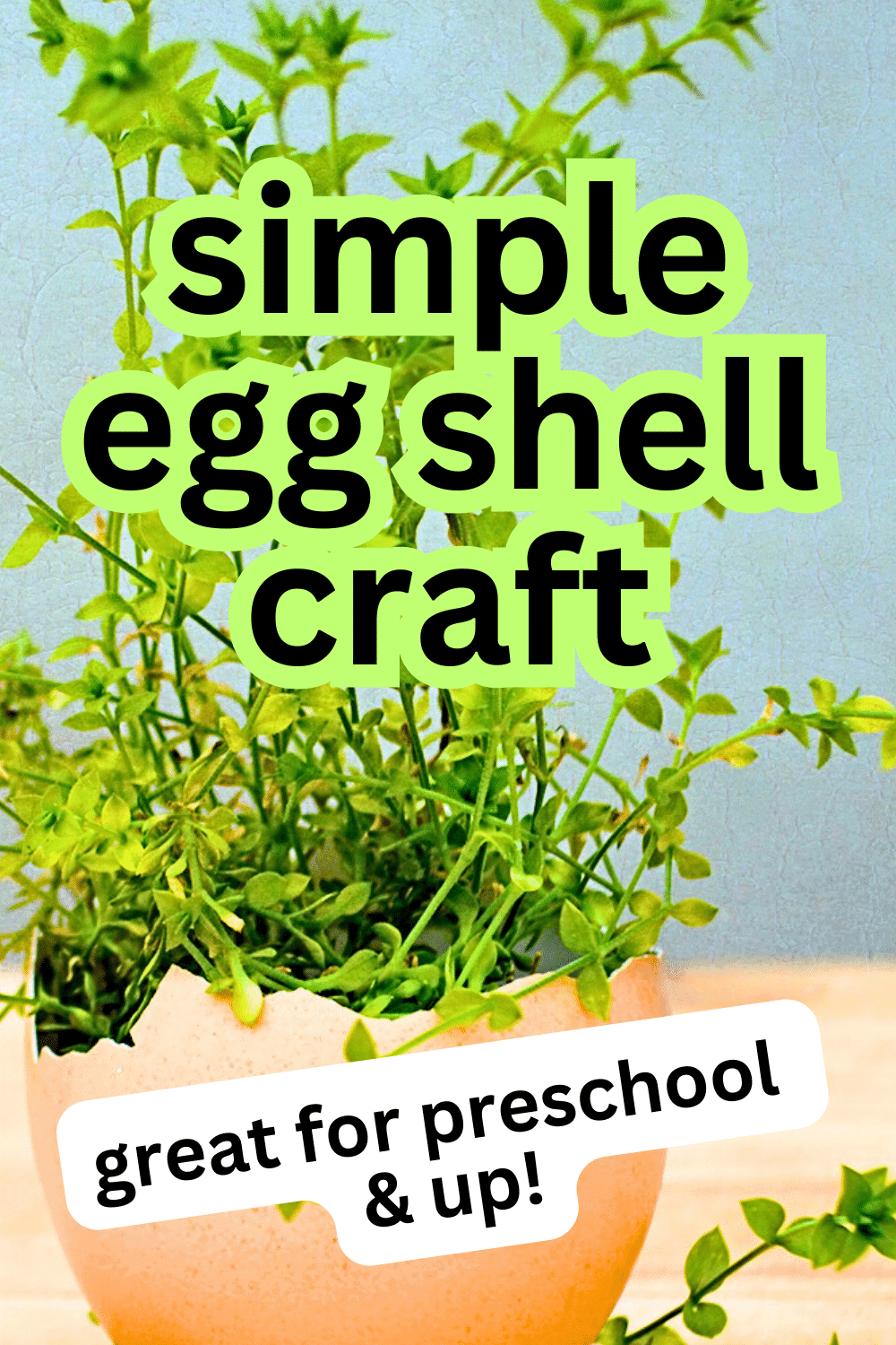 Eggshell Craft Ideas for Kids text over image of egg shell garden in eggshell carton