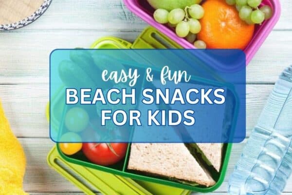 Best Snacks For The Beach For Families (beach snacks ideas and healthy beach food) DIFFERENT BEACH SNACK IDEAS IN BENTO BOXES