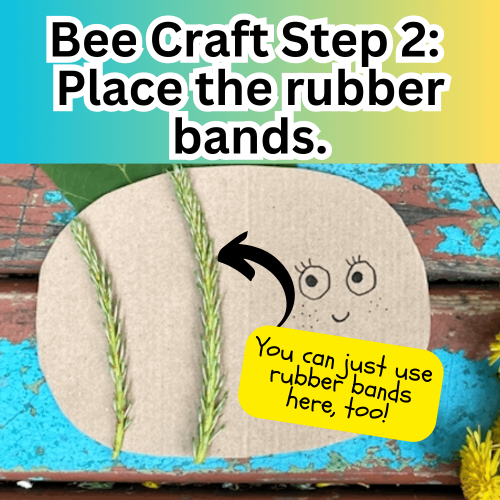 Bee Craft Step 2 Place Rubber Bands Around Bee Body text over cardboard bee shape with rubber bands on body with wheat grass over it