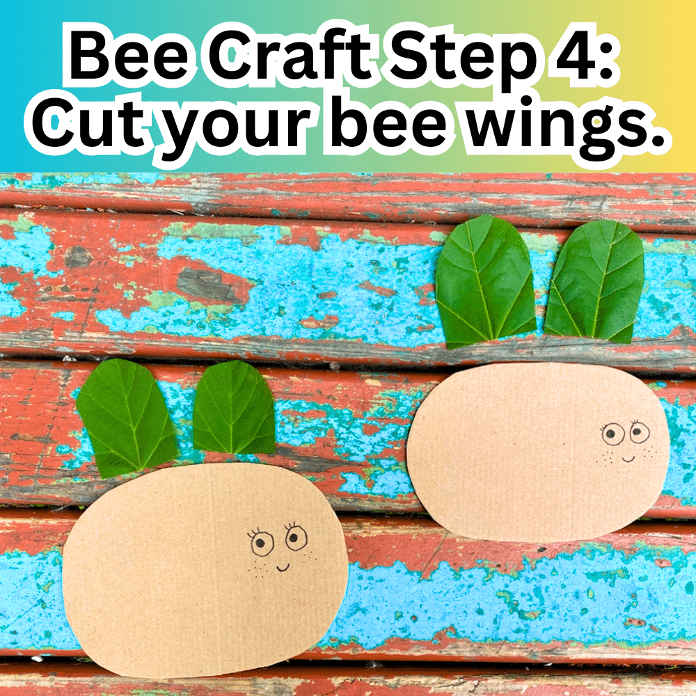 Bee Craft Step 4 Cut your bee wings out of green leaves text over cardboard bee cutout with wings cut out of green leaves