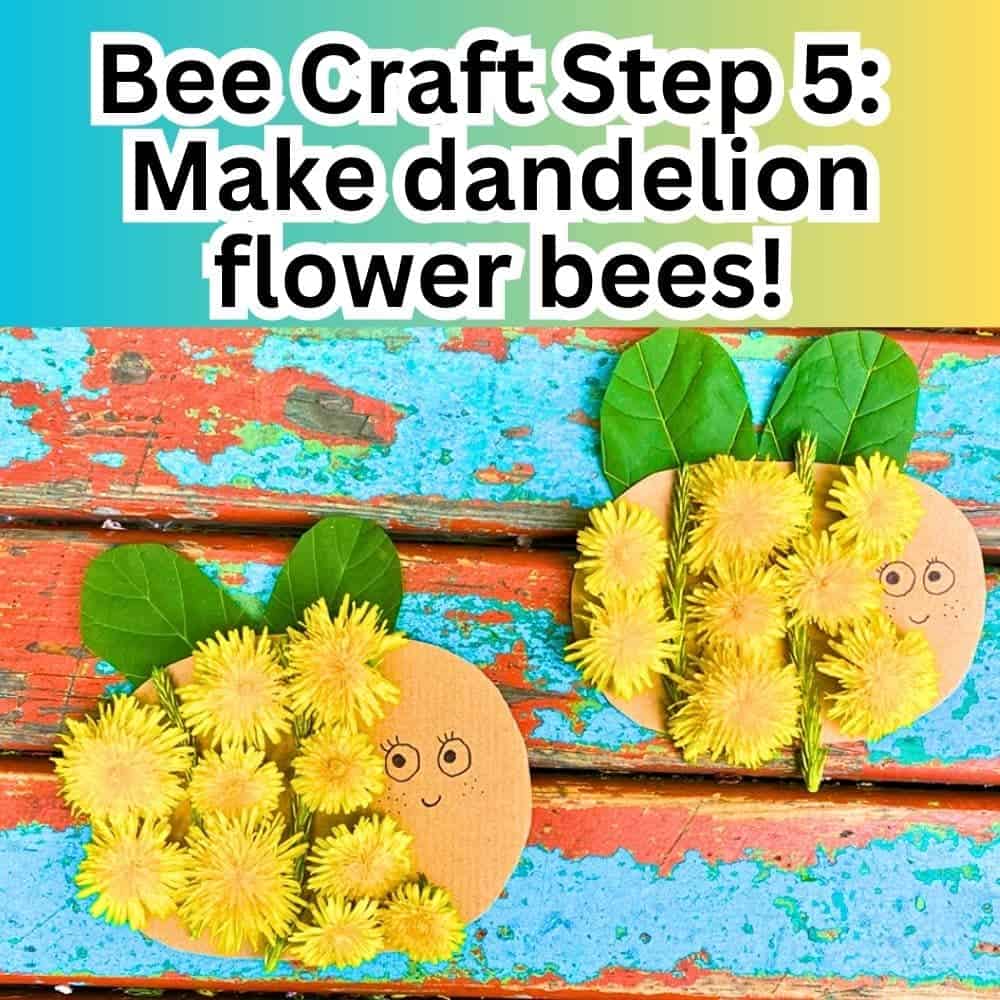 Bee Craft Step 5 Make bees from dandelions text over cardboard bees with dandelion flower bodies