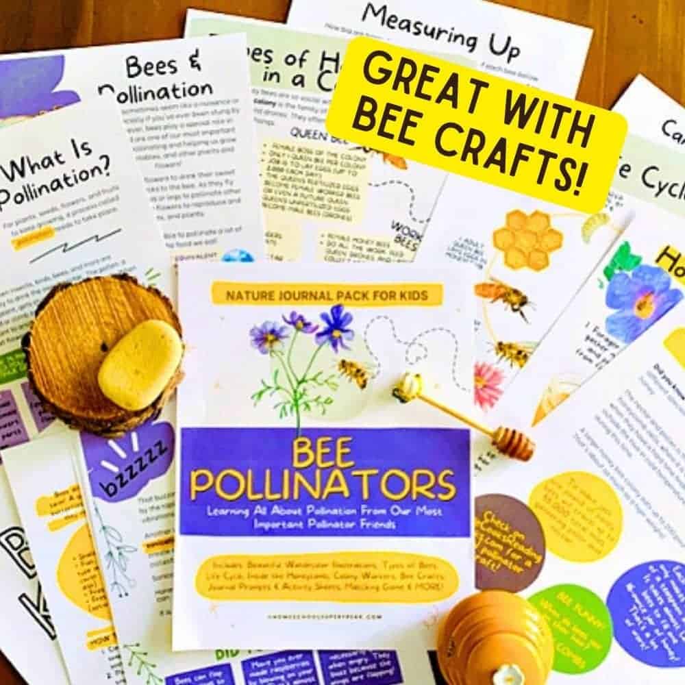 Bee Pollinator Lessons for Bee Crafts and Bees Projects beautiful watercolor bee printables spread on a table