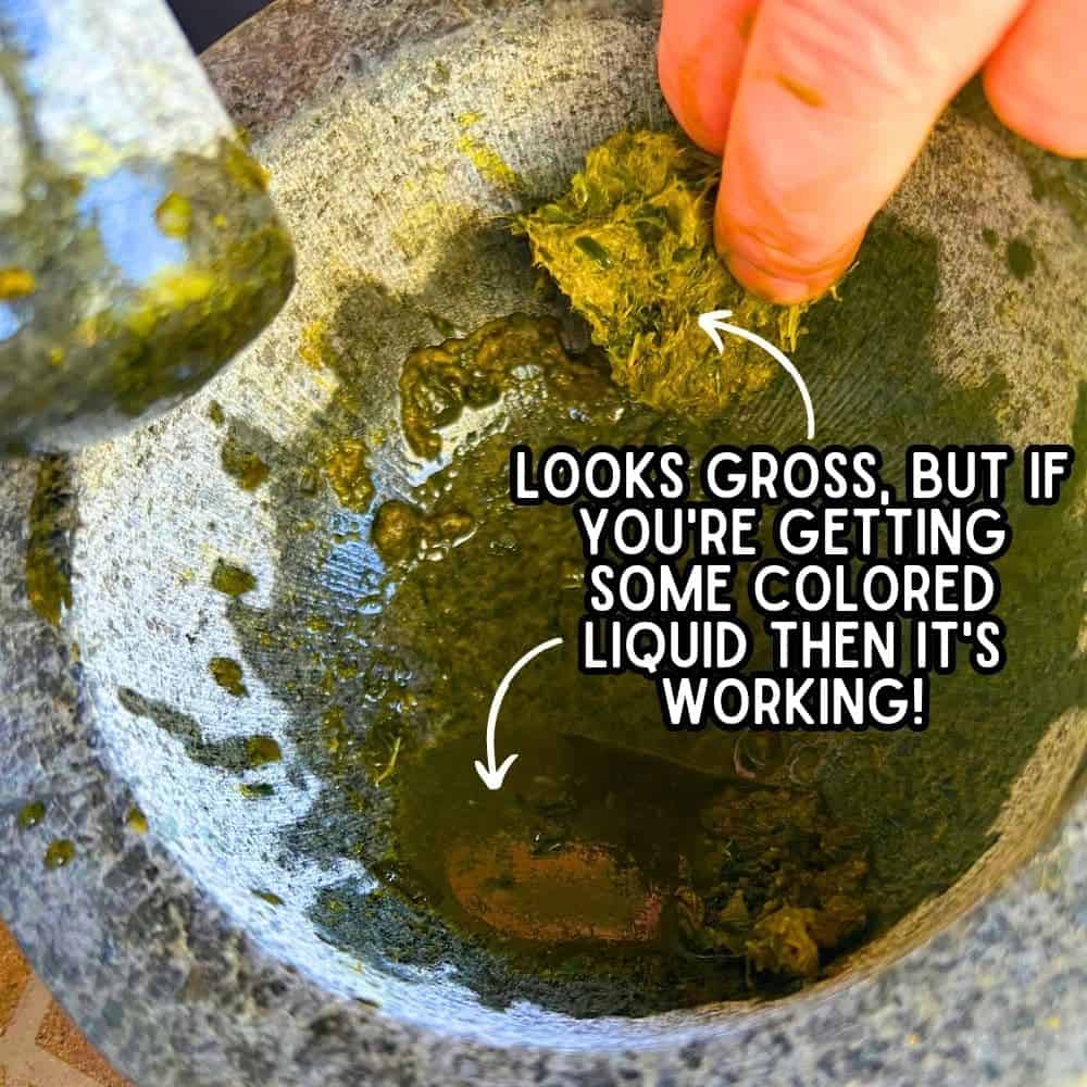 How To Crush Dandelions For Paints paint from dandelion flowers in bottom of bowl