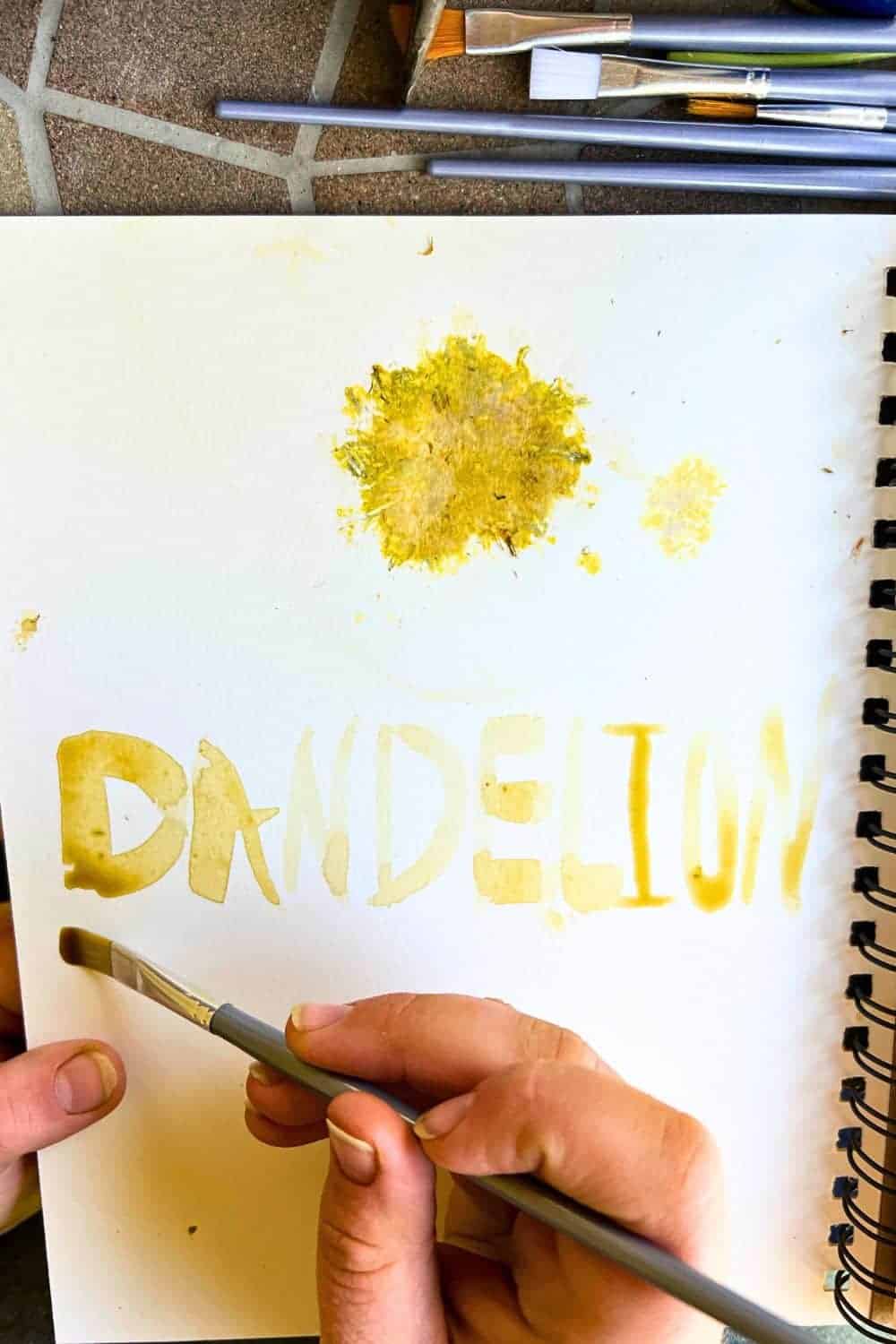 How To Make Paints With Dandelion Plants watercolor paint pad with dandelion painted on it in yellow paint made by dandelion flowers