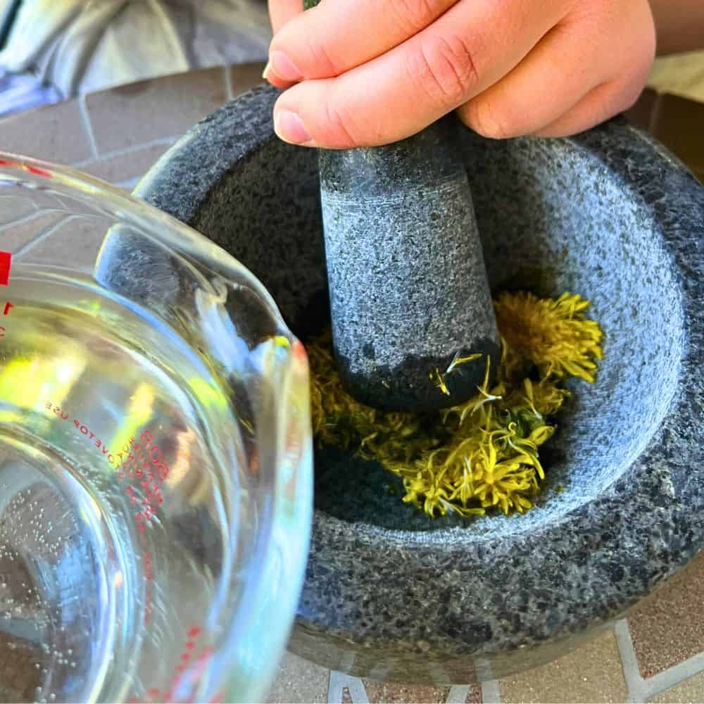 Making Dandelion Natural Watercolors Paints hand crushing flowers with mortar and pestle