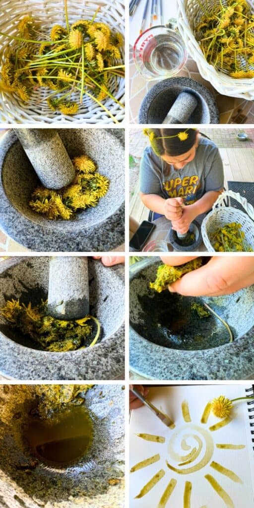 How To Make Dandelion Paint (Easy DIY Flowers Paints)