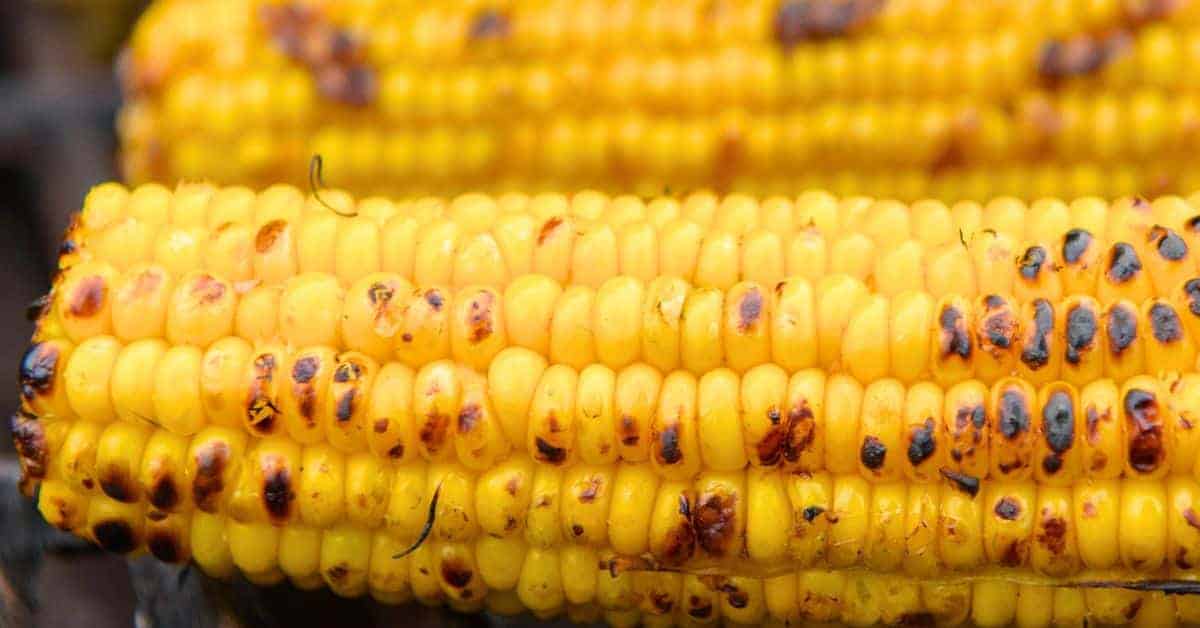 Simple Corn On The Cob On The Grill Recipe