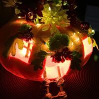 Fall Fairy Pumpkin pumpkin fairy house that lights up
