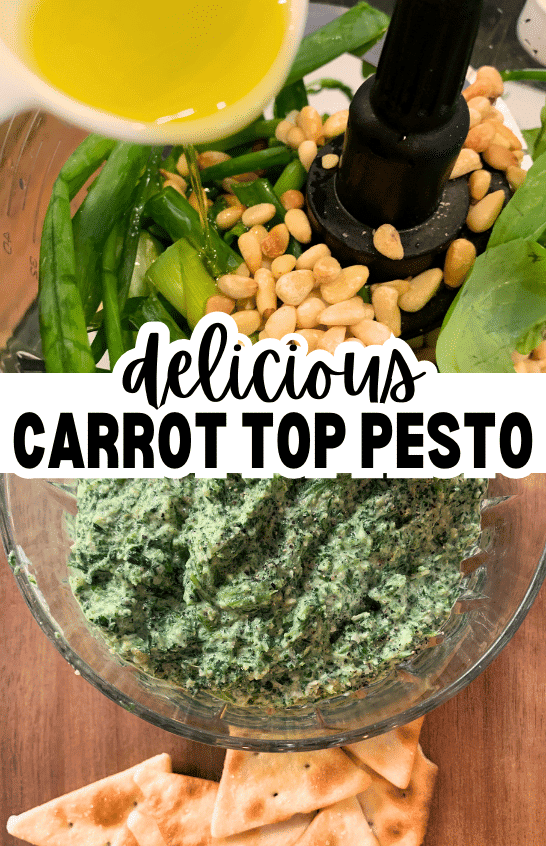 Easy Carrot Top Pesto Recipe (What To Do With Carrot Tops)