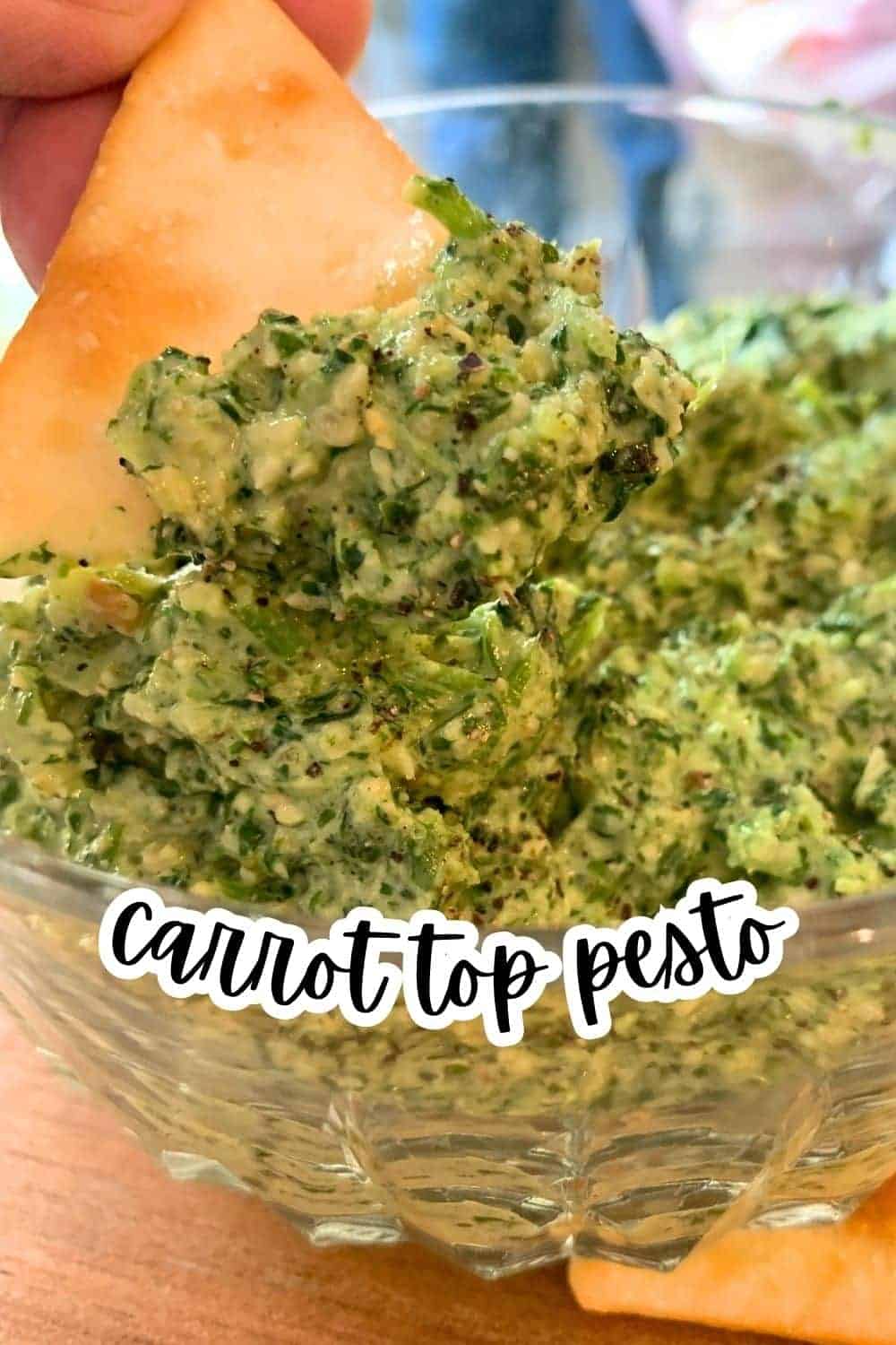 What To Do With Carrot Tops Pesto Using Top Of Carrot carrot leaf pesto with pita cracker dipped into it