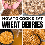 How To Cook Wheat Berries (And What To Do With Wheat Berry Recipes) - how to cook wheat berries step by step with text over the wheat berry pictures