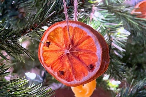 Best DIY Old Fashioned Dried Oranges Christmas Ornaments - dried orange ornament hanging on a Christmas tree
