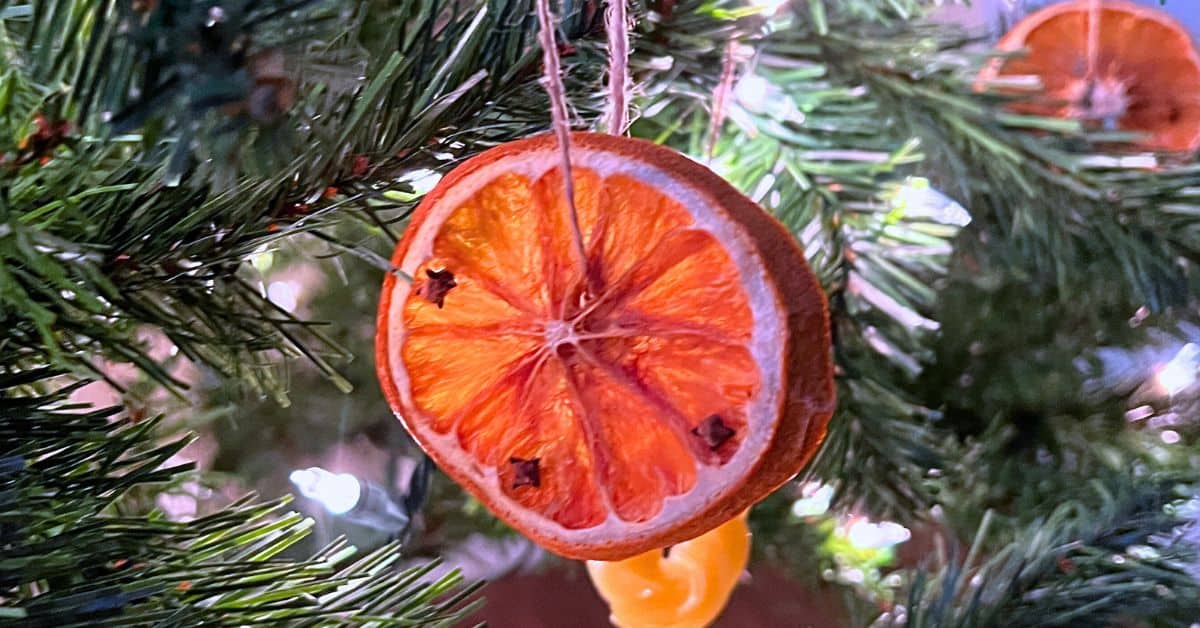 Best DIY Old Fashioned Dried Oranges Christmas Ornaments - dried orange ornament hanging on a Christmas tree
