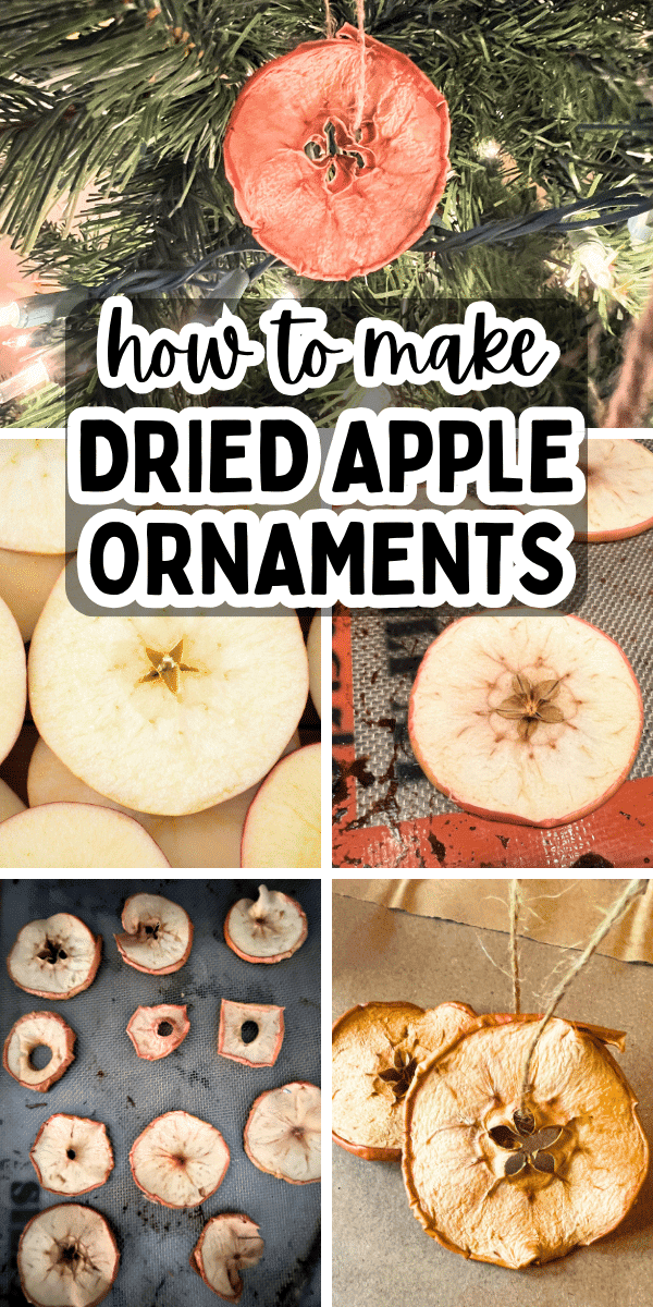 Easy Apple Christmas Ornaments (DIY Dried Fruit Ornaments) - PICTURES OF DRIED APPLE ORNAMENT STEPS