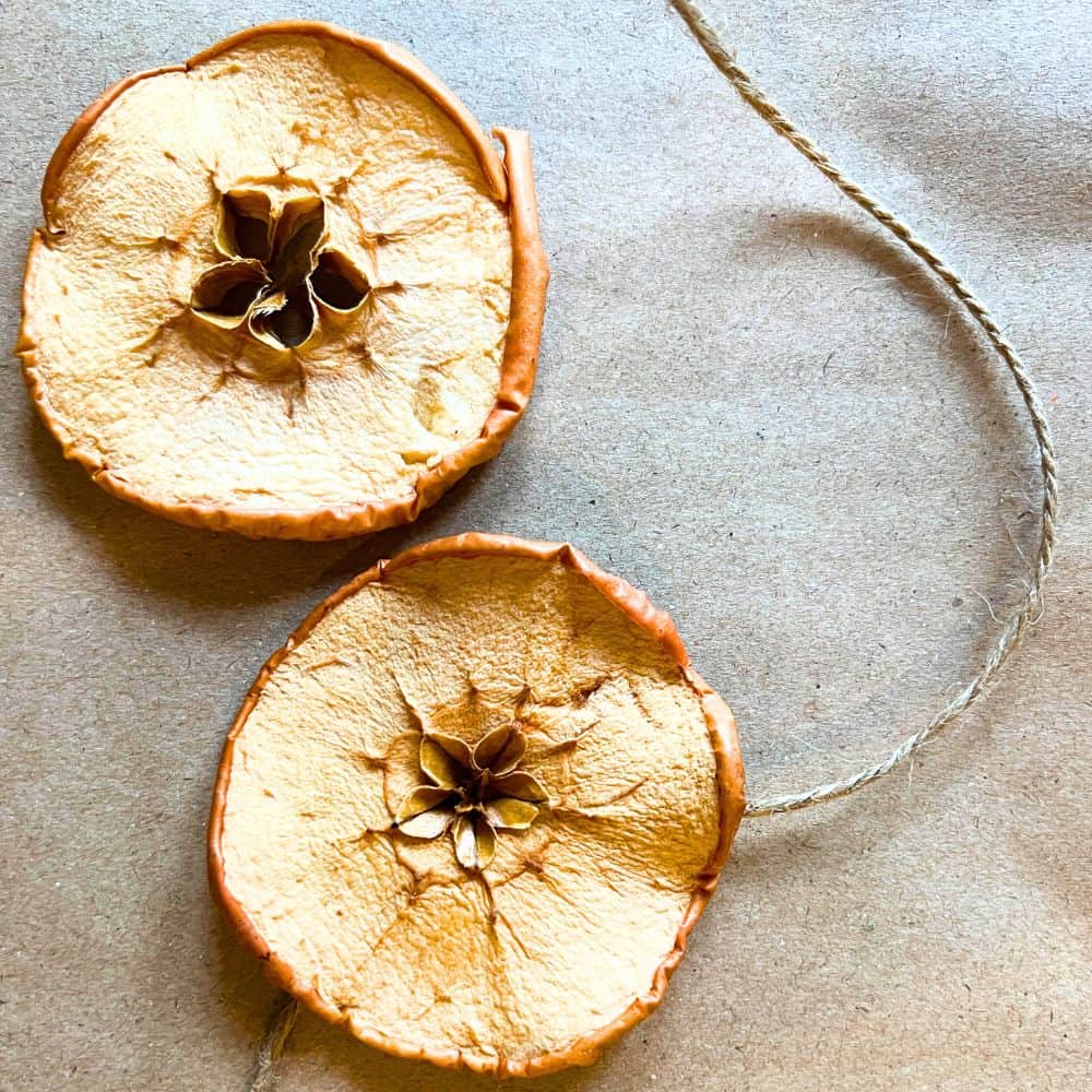Old Fashioned Dried Fruit Ornaments For Christmas (Holiday Crafts) Dried apples on brown paper with twine by them