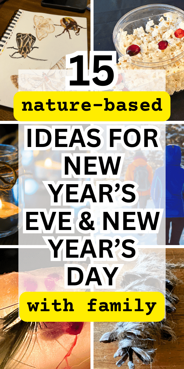 Fun Things To Do On New Year's Eve At Home With Kids (nature based new years ideas) - text over pictures of new year's eve activities with family