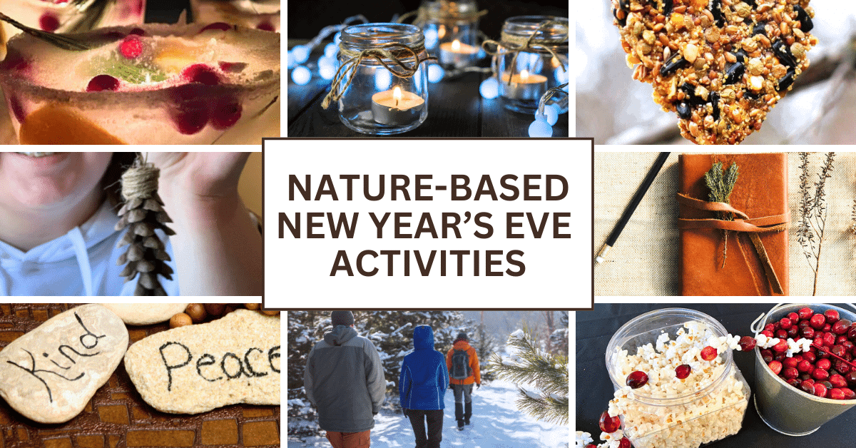 Nature Based New Year's Eve Activities For Kids (Eco Friendly Family New Year's Day Ideas) - text over different pictures of things to do on New Year's Eve with kids