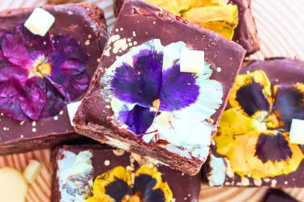 Easy Brownies With Edible Flowers top down view of chocolate brownies with pressed flowers