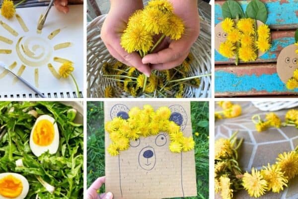 Dandelion Kids Activities - different pictures of dandelion crafts and dandelion ideas for kids