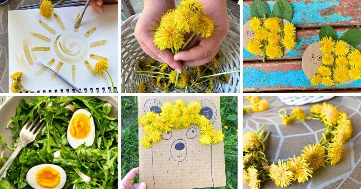 Dandelion Kids Activities - different pictures of dandelion crafts and dandelion ideas for kids
