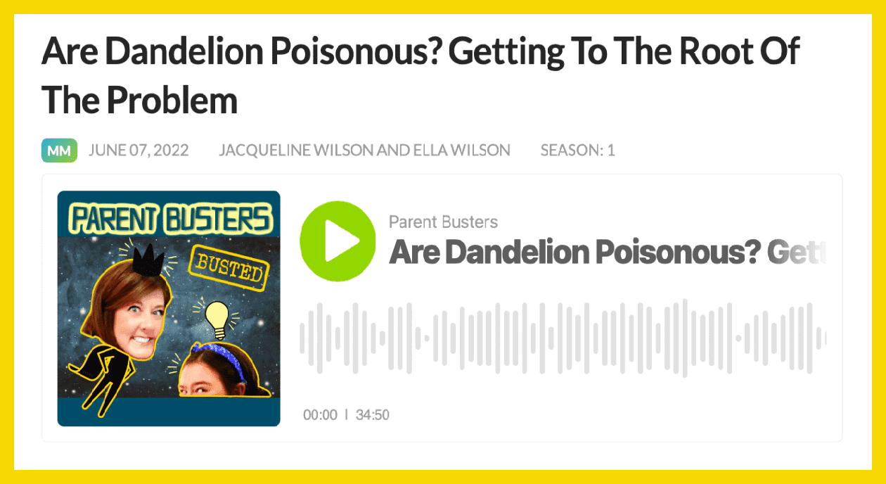 All About Dandelions Kids Podcast - text over image of Parent Busters pocasts