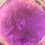Harold And The Purple Crayon Party Punch - purple drink recipe for kids party for Harold And The Purple Crayon movie and children's book