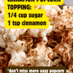 Easy DIY Popcorn Bar Recipes For Popcorn Toppings - text for cinnamon popcorn seasoning on popped popcorn in a bowl for a popcorn party