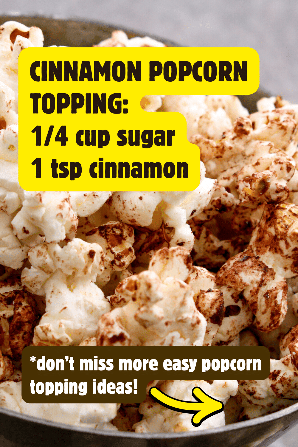 Easy DIY Popcorn Bar Recipes For Popcorn Toppings - text for cinnamon popcorn seasoning on popped popcorn in a bowl for a popcorn party