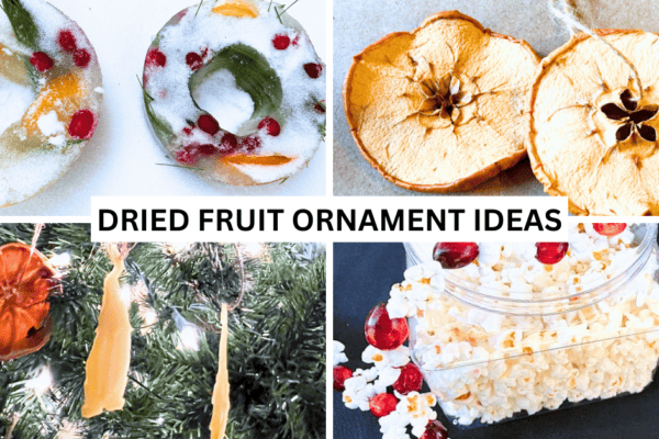 5 DIY Dried Fruit Ornaments for Christmas and Winter Solstice Crafts