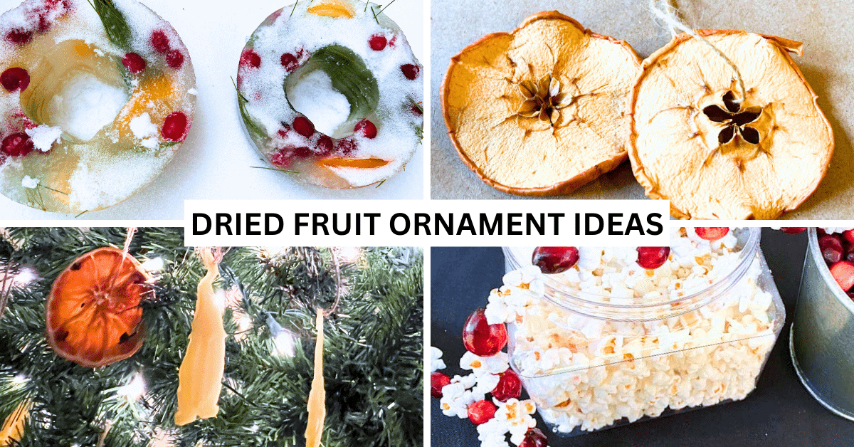 DIY Dried Fruit Ornaments for Christmas and Winter Solstice Crafts - COLLAGE OF CHRISTMAS CRAFTS