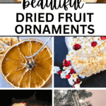 DIY Orange ornaments / best dried orange slice ornaments, dried apple crafts, dried fruit and popcorn garland, nature garland for Christmas and dried fruit ornaments ice lanterns - collage of christmas dried fruit ornaments pictures