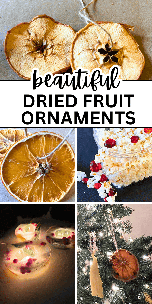 EASY DRIED FRUIT ORNAMENTS - DIY Orange ornaments / best dried orange slice ornaments, dried apple crafts, dried fruit and popcorn garland, nature garland for Christmas and dried fruit ornaments ice lanterns - collage of christmas dried fruit ornaments pictures