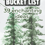 39 WINTER SOLSTICE PARTY IDEAS FOR YULE (WINTER BUCKET LIST) - Celebrate the Winter Solstice - inspiring ideas for Yule, Yule traditions and discover the meaning behind this ancient celebration of winter solstice - outdoor winter scene with text winter solstice bucket list 39 enchanting ideas for solstice yule