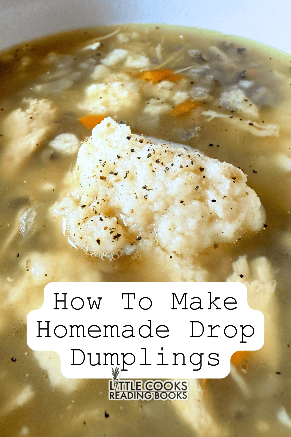 How To Make Soup Dumplings for Turkey Wild Rice Soup homemade drop dumplings in a bowl of soup - real recipes from LittleCooksReadingBooks