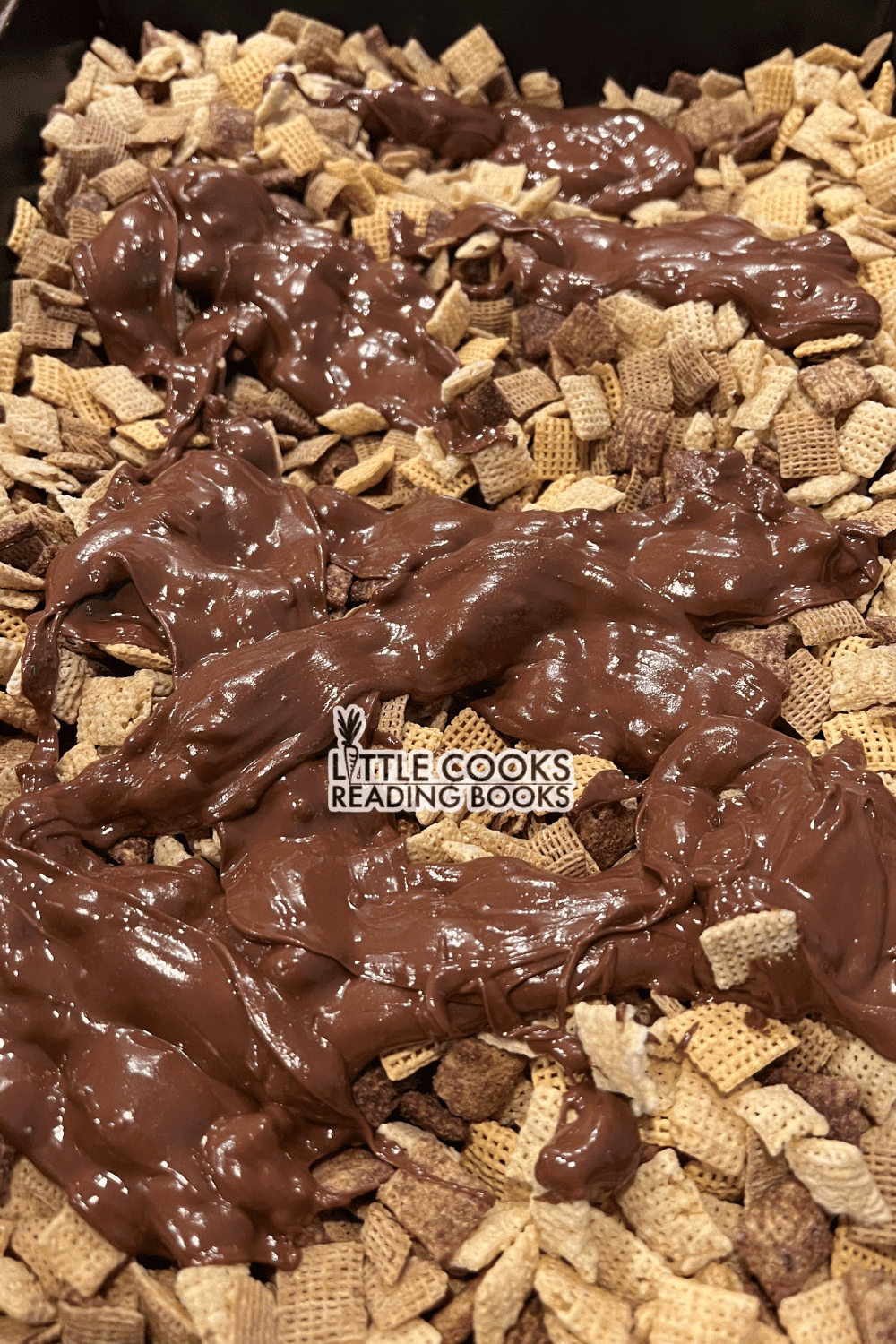 Peanut Butter Chocolate Puppy Chow Chex Mix Peanut Butter Chocolate Puppy Chow Chex Mix for a large group