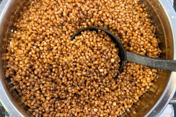 How To Cook Wheat Berries: An Ultimate Wheat Berry Grains Guide
